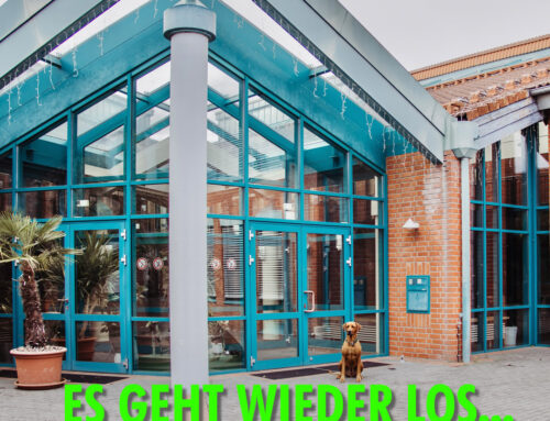 Start ins neue Schuljahr